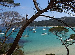 The beach of la Courtade in the Îles d'Hyères, France