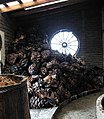 Asado de penca del agave, utilizados en la elaboración de mezcal en Oaxaca, Mexico.