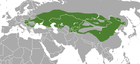 Aire de répartition du Putois des steppes