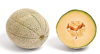 A cross section of a cantaloupe