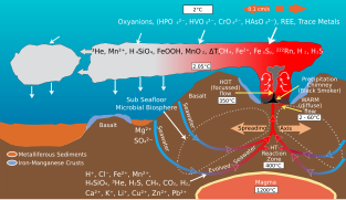 Rabung lautan dan lohong kimia laut dalam