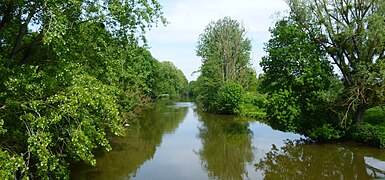 Le Loir, vu du pont de Montrieux, Naveil.