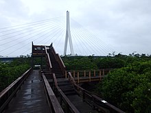 Wooden boardwalk surrounded by mangrove trees leading up to a bird watching hut. In the background you can see the white column of a bridge with wires coming out of either side.