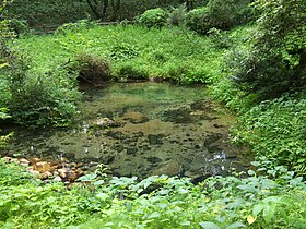 塩釜の冷泉