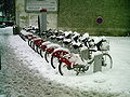 20 janvier 2010 Vraiment personne pour faire un tour de vélo ?