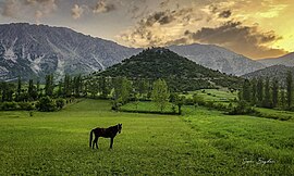 Yeşilgöz, Kahramanmaraş