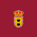 Paredes de Nava - Bandera