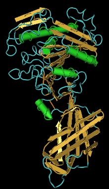 Lipase PLRP2.png