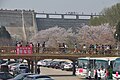 ダム直下（駐車場）両側の桜花園を結ぶ橋