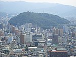 松山総合公園展望台から見た松山城