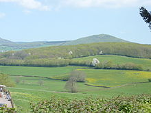 a landscape with fields and woods