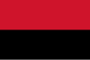 Flag of La Grita