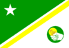 Flag of Pato Branco