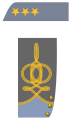 Coronel (de Infantería)