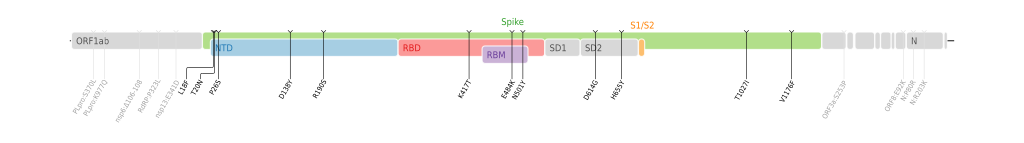 Mutasi asam amino varian Gamma SARS-CoV-2 yang dipetakan pada peta genom SARS-CoV-2 dengan sorotan pada bagian bulir