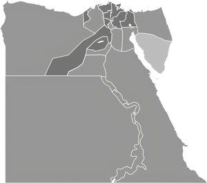 Elecciones presidenciales de Egipto de 2014