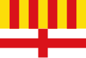 Manresa - Bandera