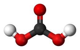 modello 3D della molecola