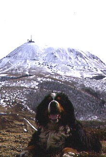 Supro de Puy de Dôme sub neĝo kun huno malfone