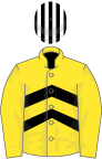 Yellow and black chevrons, yellow sleeves, white and black striped cap