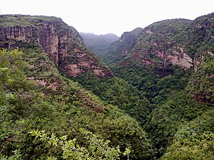 Lembah Pachmarhi.