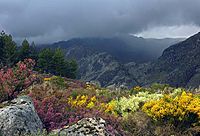 埃什特雷拉山脈景觀