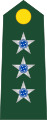 Бразилска армија (Capitão)