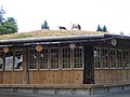 Goats on roof at Old Country Market in Coombs.