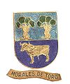 Morales de Toro