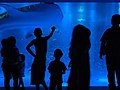 のとじま臨海公園水族館(110802)