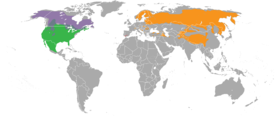 Ilveslajien levinneisyysalueet:   Ilves (Lynx lynx)   Kanadanilves (Lynx canadensis)   Pantteri-ilves (Lynx pardinus)   Punailves (Lynx rufus)