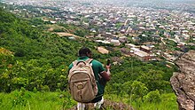 Ngwo Pine Forest Enugu