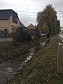 Kánya stream