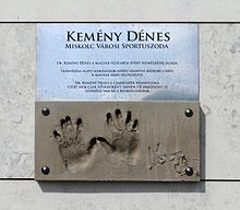 Dénes Kemény (trejnisto)