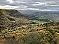 Vorschaubild für Randen (Gebirge)