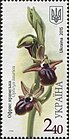 «Офрис кримська Ophrys taurica»