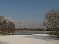 Arnhem, los lagos: los Rijkerswoerdse Plassen (en invierno 2011/2012)