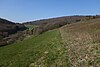 Berg 'Mehlbusch' aus Richtung Süden, von Wüstems, gesehen