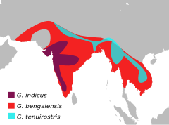 Mapa występowania