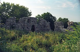 Ruiny zamku biskupów chełmińskich w Kurzętniku