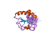 1x5c: The solution structure of the second thioredoxin-like domain of human Protein disulfide-isomerase