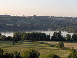 Photo of the lake surrounded by trees