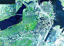 Satellite image of Boston, which visually depicts urban tree canopy variations across the city