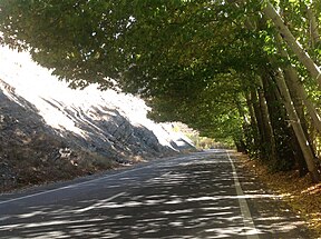 Chalus road
