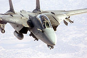 空中給油口を出したF-14D