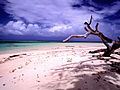 Image 5Beach scenery at Laura, Majuro, Marshall Islands (from Micronesia)