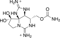 Saxitoxin