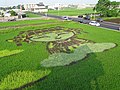 Photo couleur d'une rizière dans laquelle des plants de riz de différentes couleurs dessinent une effigie de Mazu, une déesse de la culture chinoise.