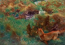 Fox stalking wild ducks, 1913