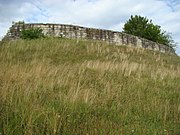 Ruins of Dăbâca Fortress